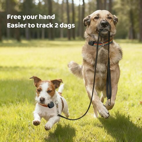 2-Pack Outdoor GPS Dog Tracker for Two Dogs – Real-Time Tracking, No Phone or Signal Needed, Perfect for Hiking, Camping, Farms, and Large Open Spaces, No Subscription Fees in Saudi Arabia