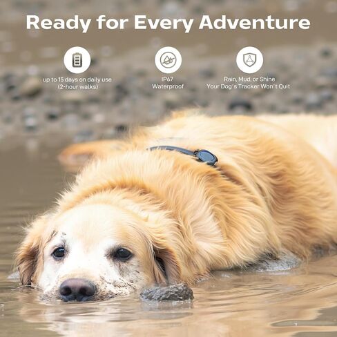 2-Pack Outdoor GPS Dog Tracker for Two Dogs – Real-Time Tracking, No Phone or Signal Needed, Perfect for Hiking, Camping, Farms, and Large Open Spaces, No Subscription Fees in Saudi Arabia