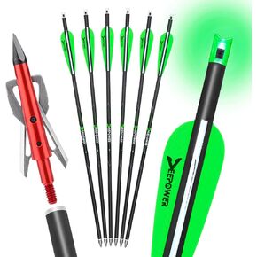 DEEPOWER 6 Pack Crossbow Bolts 20 inch GPI 9.9 with Broadheads 100 Grain and 7.62mm Lighted Nocks Crossbow Arrows for Hunting and Practice in Saudi Arabia