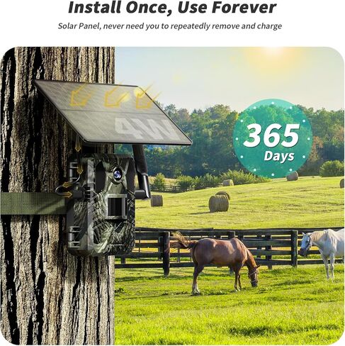 SEHMUA Trail Camera 2 Packs, AI Animal Detection 2K HD Live Game Camera 4G LTE Cellular Trail Camera Built-in SIM Card Unlimited Data, Trail Cameras with Night Vision Motion Activated Waterproof in Saudi Arabia