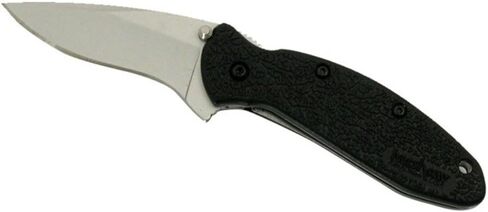 Kershaw Scallion Pocket Knife, Black and Gray, 2.4 Inch Stainless Steel Drop Point Blade, EDC with Assisted Opening, Dual Locking, Made in the USA, Everyday Carry Pocket Knife for Men and Women in Saudi Arabia