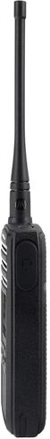Motorola DTR700 Digital 2-Way Radio (50 Channels) (DTR700) (2-Pack) in Saudi Arabia