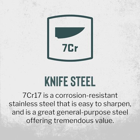 Buck Knives 327 Nobleman Folding EDC Pocket Knife, Titanium, 2.6 oz in Saudi Arabia