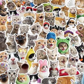 200 Funny Cat Meme Stickers – Cute Waterproof Vinyl Decals for Laptops, Guitars, Suitcases, and More, Perfect for Adults, Kids, Teens, Boys, and Girls in Saudi Arabia