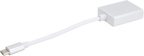 Precise TypeC to VGA Adapter Silver Durable Compact Male to in Saudi Arabia