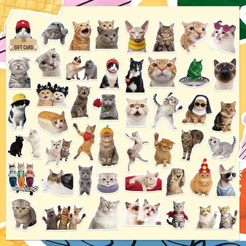 200 Funny Cat Meme Stickers – Cute Waterproof Vinyl Decals for Laptops, Guitars, Suitcases, and More, Perfect for Adults, Kids, Teens, Boys, and Girls in Saudi Arabia