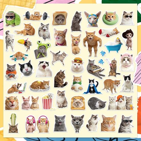 200 Funny Cat Meme Stickers – Cute Waterproof Vinyl Decals for Laptops, Guitars, Suitcases, and More, Perfect for Adults, Kids, Teens, Boys, and Girls in Saudi Arabia
