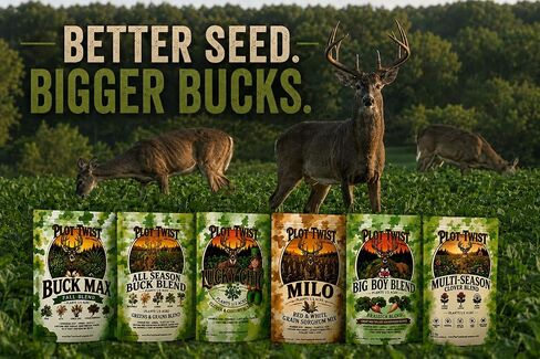 Big Boy Brassica Blend for Deer - Plants 1/2 Acre - Contains: Purple Top Turnips, Radishes, Forage Kale, Winter Rape - High Tonnage Mid-Late Season Food Source in Saudi Arabia