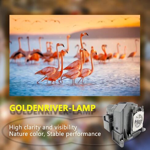 GOLDENRIVER ELP71 Premium Quality Projector Lamp with Housing Compatible with ep Son ELPLP71 BrightLink 475Wi BrightLink 480i BrightLink 485Wi EB-1400Wi EB-1410Wi EB-470 EB-475W EB-475Wi in Saudi Arabia