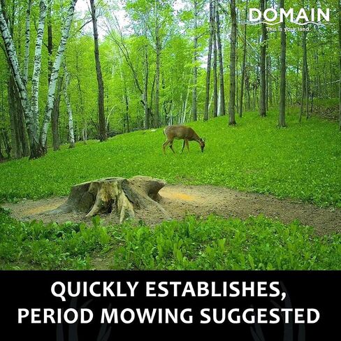 Domain Outdoor Hot Chic Food Plot Seeds for Deer, Chicory - 2 Varieties of Clover, Great to Plant in Spring or Fall, Hardy Mixture of PH Tolerant Perennials, Can Last Several Years, 1/2 Acre in Saudi Arabia