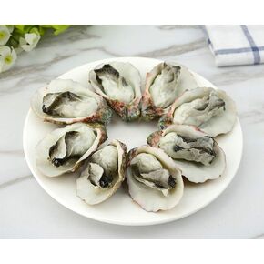 Kmiunty 8Pcs Artificial Oysters Shellfish Seafood Model Photography Prop for Home Kitchen Party Decoration (A)