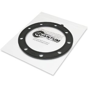 QFS In-Tank EFI Fuel Pump + Regulator + Tank Seal Gasket + Strainer Replacement for (1998-2011) Sea-Doo Challenger GTI GTX Islandia RXP RXT SP Speedster Wake Sportster Utopia, 204560418