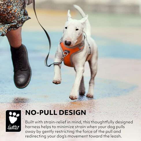 Hurtta Venture No-Pull Dog Harness, Buckthorn, 18-24 in in Saudi Arabia