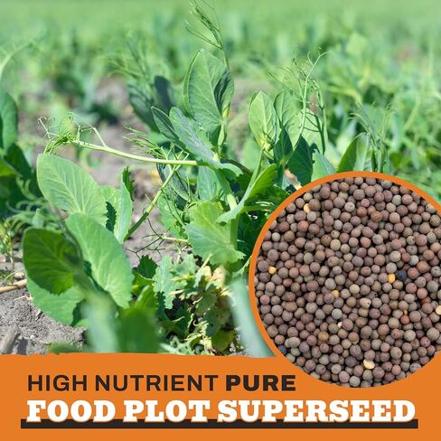 Austrian Winter Peas Food Plot Seeds, 10lb Bag, G1931 in Saudi Arabia