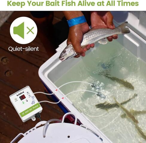 Aerator for Bait Bucket, Briidea 12 Volt Livewell Aerator Pump System with Timing Cycle Function, Dual Outlet, Designed for Use in Fresh and Salt Water to Keep Your Bait Fish Alive in Kuwait