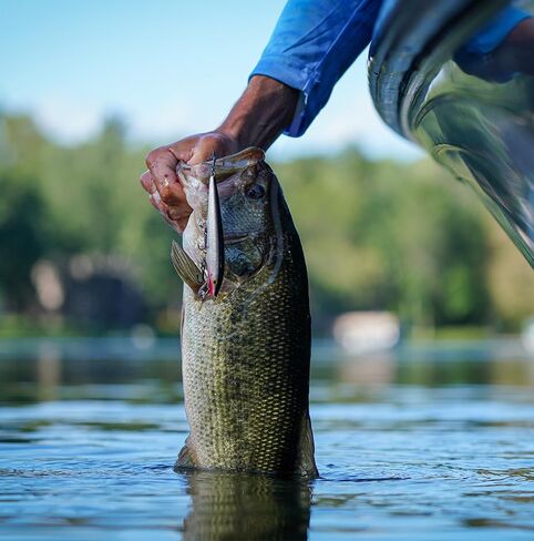 Rapala Original Floating F-7 / 7 cm. Lure (Brown Trout), 9, Perch in Saudi Arabia