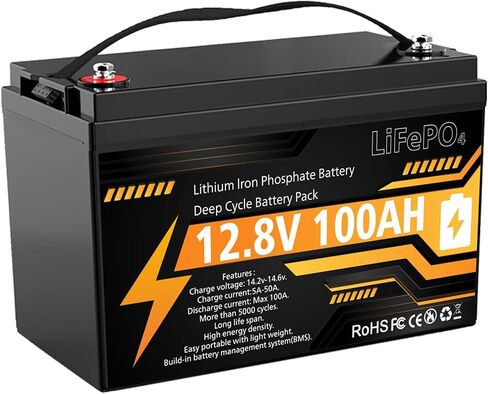 12V 100Ah LiFePO4 Lithium Battery Group 31 Deep Cycle for RV Trolling Motor in Saudi Arabia