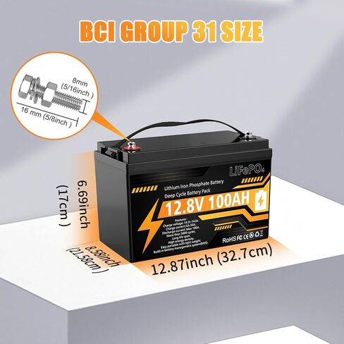 12V 100Ah LiFePO4 Lithium Battery Group 31 Deep Cycle for RV Trolling Motor in Saudi Arabia