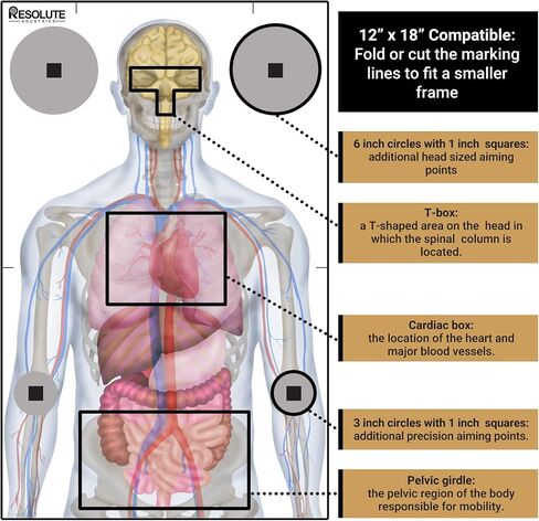 Resolute 23x35 Medically Designed Shooting Targets for The Range - 100% Anatomical Paper Silhouette - Gun Accessories for Pistols, Rifles, Airsoft, Air Pistols, BB & Pellet Shooting Practice (25) in Saudi Arabia