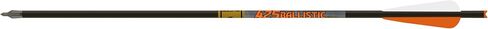 Gold Tip Ballistic 20-Inch Shaft Arrows (1-Dozen) in Saudi Arabia