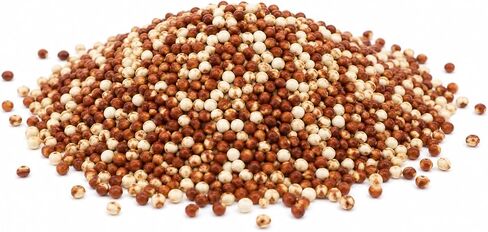 Milo Red & White Grain Sorghum Food Plot Seeds - Plants 1/2 Acre - Outstanding Food & Cover for Deer, Turkey, and Small Game – Annual High Protein Fall and Winter Forage in Saudi Arabia