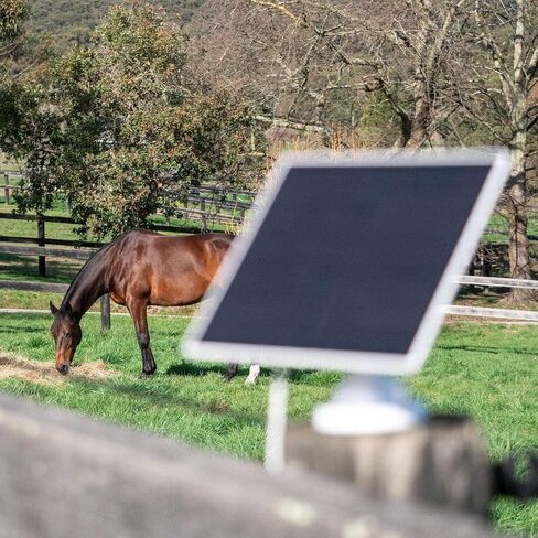 Equine Eye Vision 4G Wireless Horse Camera (Trailer, Stable, Paddock) - SIM Included - Portable - Real-Time Monitoring, Night Vision, Easy Setup - Compatible with iPhone/Android - Camera/Solar Bundle in Saudi Arabia