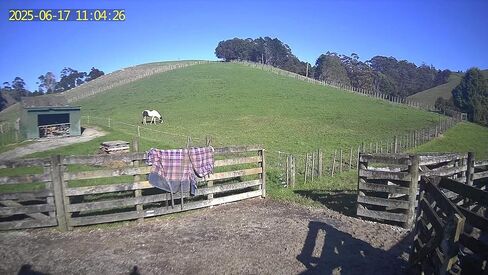 Equine Eye Vision 4G Wireless Horse Camera (Trailer, Stable, Paddock) - SIM Included - Portable - Real-Time Monitoring, Night Vision, Easy Setup - Compatible with iPhone/Android - Camera/Solar Bundle in Saudi Arabia