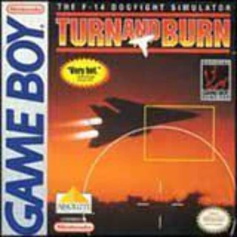 Turn And Burn The F-14 Dogfight Simulator in Saudi Arabia