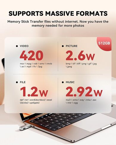 MFi Certified 512GB iPhone Photo Stick, High-Speed USB Flash Drive Memory Storage for Video Backup, Compatible for iPhone/iPad/Android/PC (Silver) in Saudi Arabia