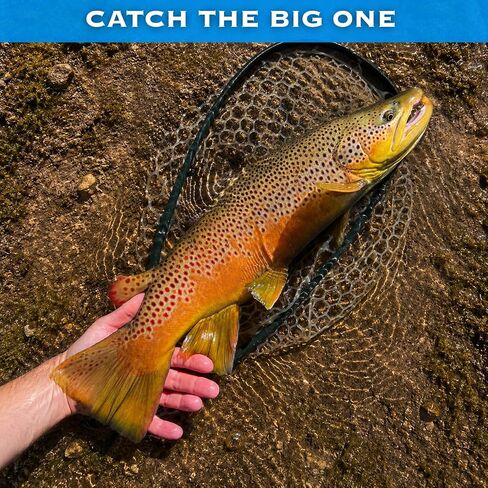 Clouser Minnow Streamer Flies - Weighted Baitfish Streamers for Bass Trout - Hand-Tied Deep Water Fly Fishing Flies for Freshwater and Saltwater in Saudi Arabia