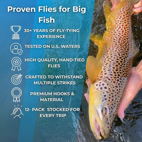 12 قطعة من CDC Soft Hackle Sow Bug Gig Nymphs لصيد الأسماك بالذبابة بمقاسات 14 و16 | تشكيلة ذباب سمك السلمون المرقط مع صندوق الطيران | الذباب الحوري الأوروبي الشائك in Saudi Arabia