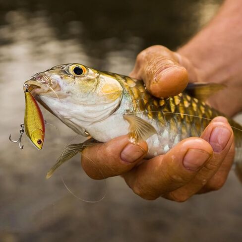 10Pcs Fishing Lures VIB Hard Baits Lipless Crankbaits Sinking Lures for Bass Trout Perch Salmon 2in/0.16oz in Saudi Arabia