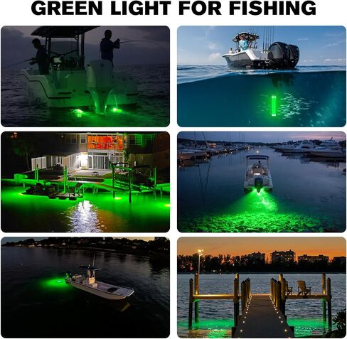 Goldlife Green Underwater Fishing Light LED 110V&12V Dual Power, 50FT | LED Submersible Dock & Boat Lights, IP69K Waterproof Saltwater Night Fish Attract Lighting for Crappie Squid, Lake & Kayak in Saudi Arabia