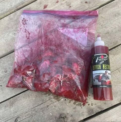 PAUTZKE'S Catfish Nectar, 8-Ounces (PNCT/CTFSH) in Saudi Arabia