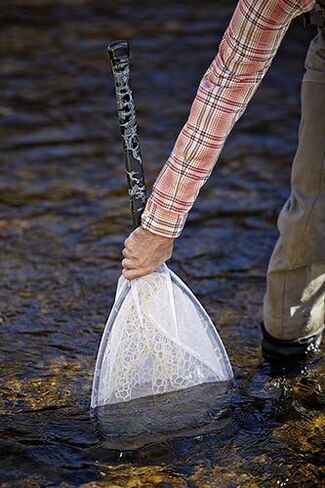Sci Fly Seine in Saudi Arabia