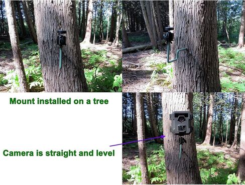 5 Pack Trail Camera Mount, 360 Swivel Adjustable Durable Steel Construction Camera Tree Mount Screw in Holder for Hunting, Excellent Material and Easy to Install in Kuwait