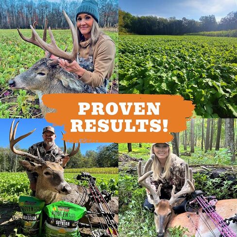 Forage Soybean Food Plot Seeds, Round-Up Ready, 10lb Bag, G1653 in Saudi Arabia