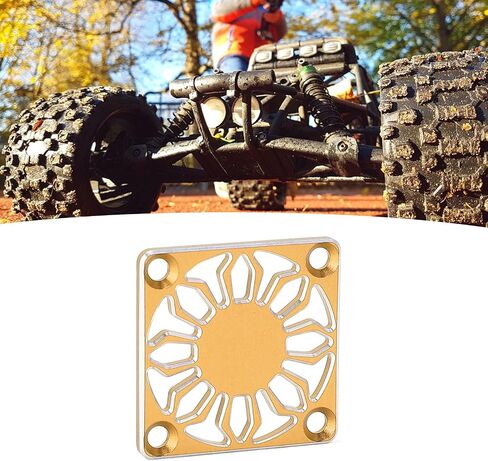 RC Fan Cover, Durable Aluminum Alloy Protective Case for RC Cars, 30 x 30 mm, 1 Piece (Gold) in Saudi Arabia