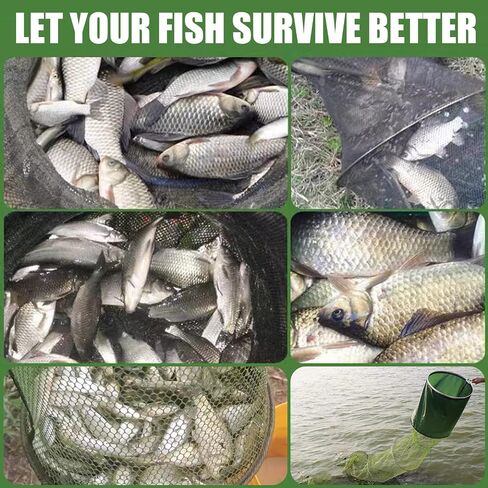 Portable Foldable Fish Basket, Collapsible Nylon Cage Basket in Saudi Arabia