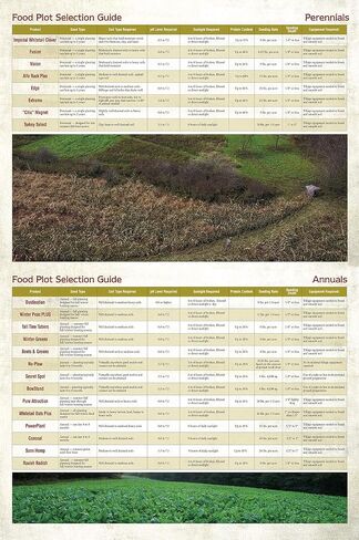 Whitetail Institute BowStand Deer Food Plot Seed، العلف السنوي المصمم لجذب الغزلان إلى قطع الطعام الصغيرة البعيدة لصيد القوس، يمكن زراعته باستخدام الأدوات اليدوية، 4 رطل (4500 قدم مربع) in Kuwait