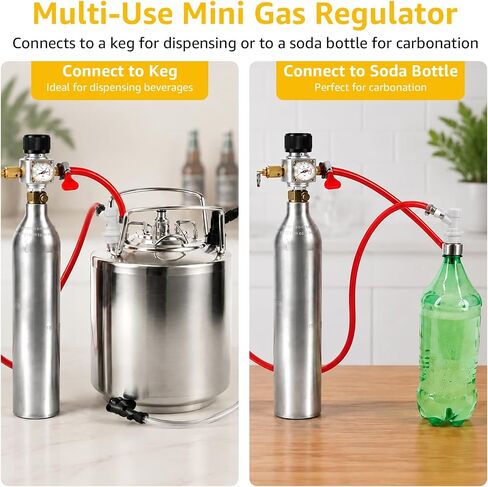 Mini Co2 Regulator 90 PSI Soda Keg Regulator TR21-4 Thread for Co2 Cylinder in Saudi Arabia