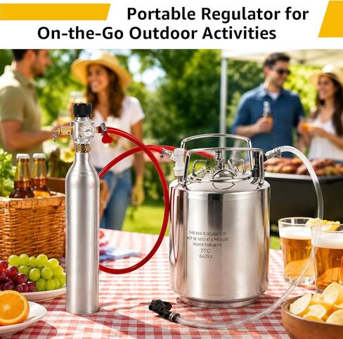 Mini Co2 Regulator 90 PSI Soda Keg Regulator TR21-4 Thread for Co2 Cylinder in Saudi Arabia