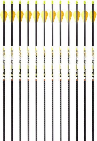 Carbon Express D-Stroyer SD Hunting Arrow Shafts, 12-Pack, Small Diameter .203"ID, High Modulus Carbon Weave, Dual Spine Weight Forward Technology, Laser Checked in Kuwait