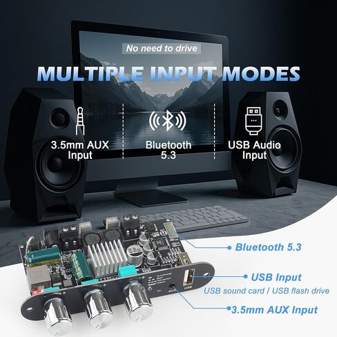 ZK-1001B Mono Amplifier Board with TWS, 100W Power Output, Vehicle Amplifier Wide Voltage Input 9-24V, Supports USB/AUX/Bluetooth, Black (Black2 ZK-1001U) in Saudi Arabia