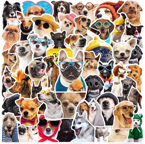 50 PCS Funny Dog Stickers – Cute Animal Vinyl Decals for Journaling, Laptop, Scrapbook, Water Bottle, Guitar, Suitcase, Phone, Snowboard – Waterproof Gift for Women, Girls, Kids, Adults, Teens in Kuwait