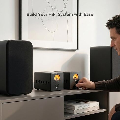 AIYIMA A20 Mono Hi-End Balanced Class D Power Amplifier TPA3255 300W & XLR in Saudi Arabia