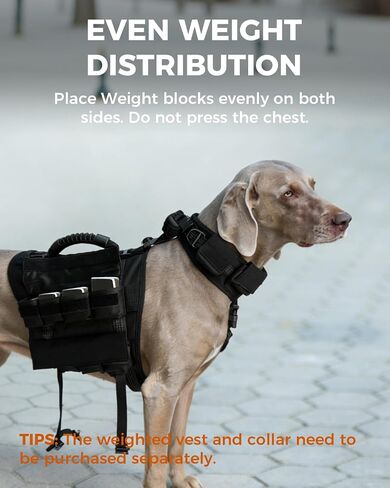 Dog Weight Blocks for Weighted Vest and Collar, 0.88 lb Each, 4-Pack in Kuwait