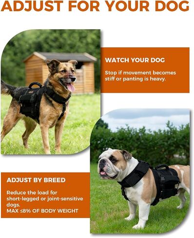 Dog Weight Blocks for Weighted Vest and Collar, 0.88 lb Each, 4-Pack in Kuwait