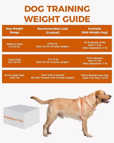 Dog Weight Blocks for Weighted Vest and Collar, 0.88 lb Each, 4-Pack in Kuwait