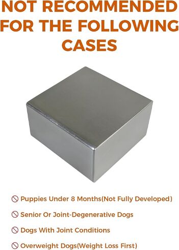 Dog Weight Blocks for Weighted Vest and Collar, 0.88 lb Each, 4-Pack in Kuwait